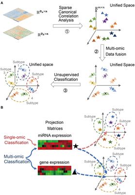 Multi-Omics Data Fusion for Cancer Molecular Subtyping Using Sparse Canonical Correlation Analysis